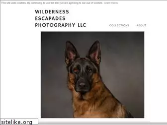 wildernessescapades.com