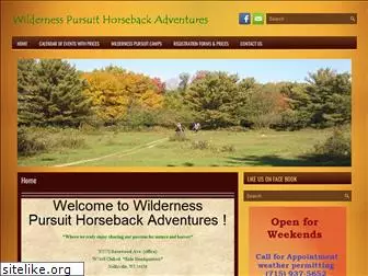 wildernesspursuit.com