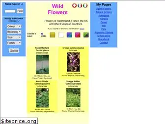 wildestflowers.com