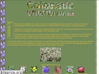www.wildflowerchild.info