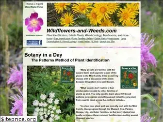 wildflowers-and-weeds.com