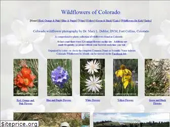 wildflowersofcolorado.com