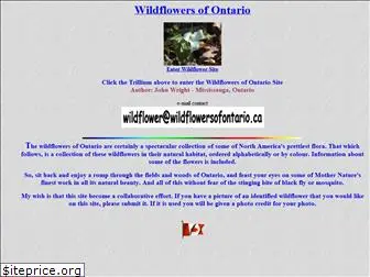 wildflowersofontario.ca