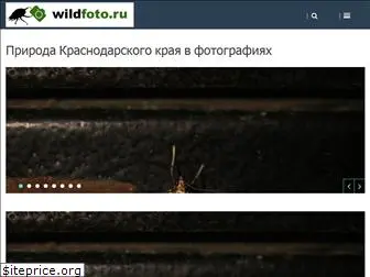 wildfoto.ru