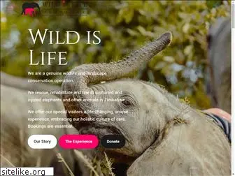 wildislife.com