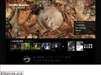 wildlife-museum.com