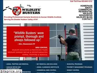 wildlifebusters.com