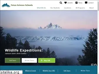 wildlifeexpeditions.org