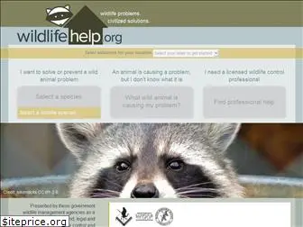 www.wildlifehelp.org