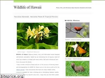 wildlifeofhawaii.com