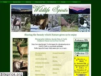 wildlifespirits.com