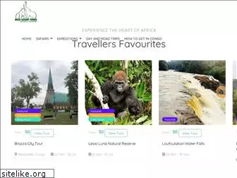 wildsafaritours.com