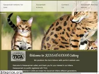 wildsmilecats.com