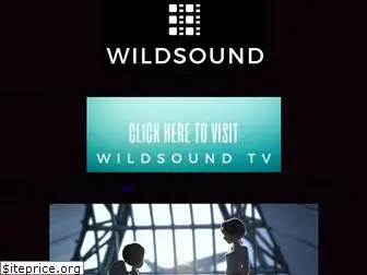 wildsoundfestivalreview.com