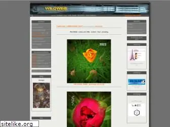 wildweb.de