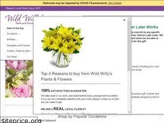 wildwillysflorist.com