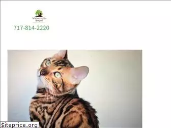 willowdreambengals.com