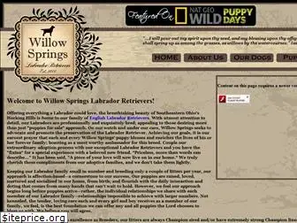 willowspringslabs.com