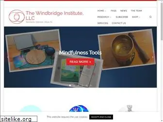 windbridgeinstitute.com