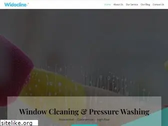 window-cleaning-center.com