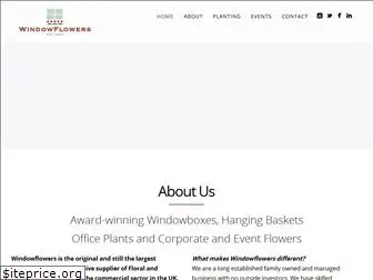 windowflowers.com