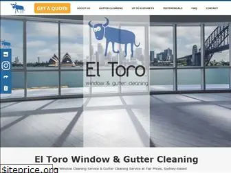 windowwasher.com.au