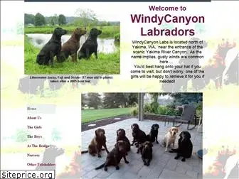 windycanyonlabs.com