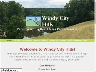 windycityhills.com