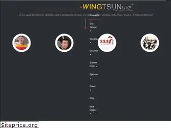 wingtsunwarrior.com