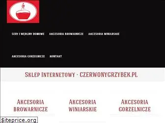 winiarstwo.olsztyn.pl