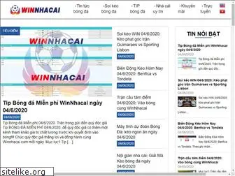 winnhacai.com
