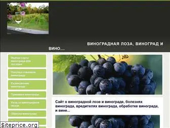 winogradnic.ru