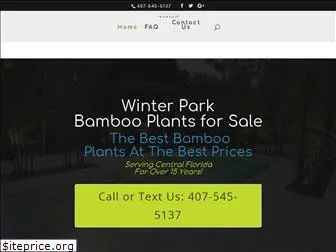 winterparkbamboo.com
