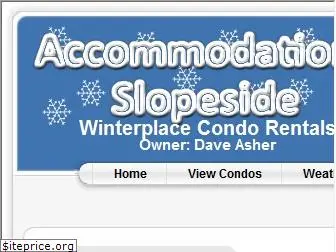 winterplacecondorentals.com