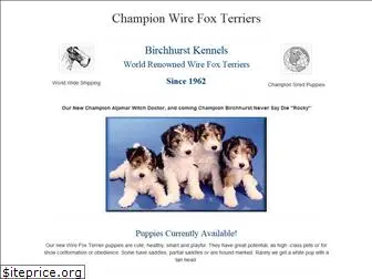 wirefox-terriers.com