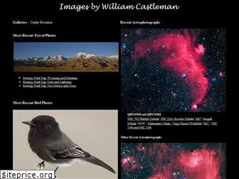 wlcastleman.com