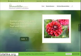 wo-blumenbilder-wachsen.de