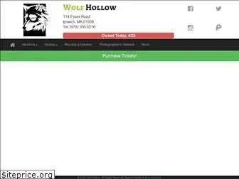 wolfhollowipswich.com