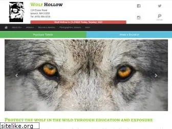 wolfhollowipswich.org