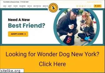 wonderdogrescue.org