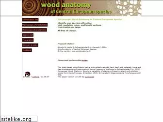 woodanatomy.ch