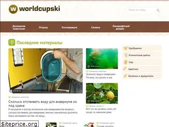 worldcupski.ru