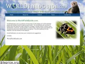 worldfieldguide.com