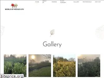 worldofhedges.co.uk