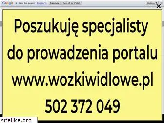 wozki-widlaki.pl