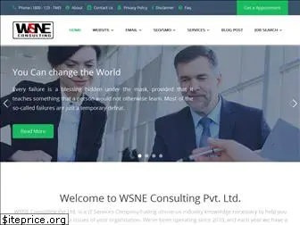 wsneconsulting.com