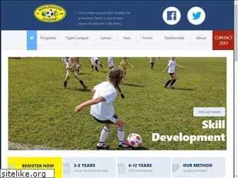 wsocceracademy.org