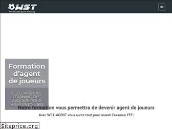 wst-agent.com