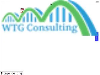 wtg-consulting.com