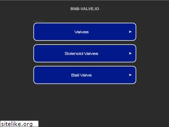 ww1.bnb-valve.io
